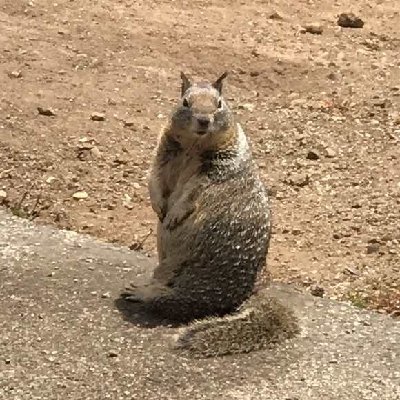 Meet your Posher, Nancy - Picture 5 of 8